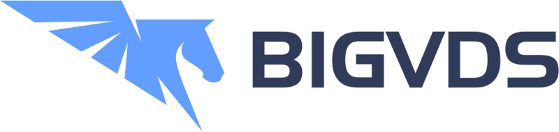 Логотип хостера BigVDS