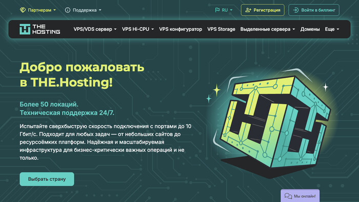 Скриншот хостера THE.Hosting