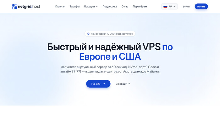 Скриншот хостера NetGrid Host