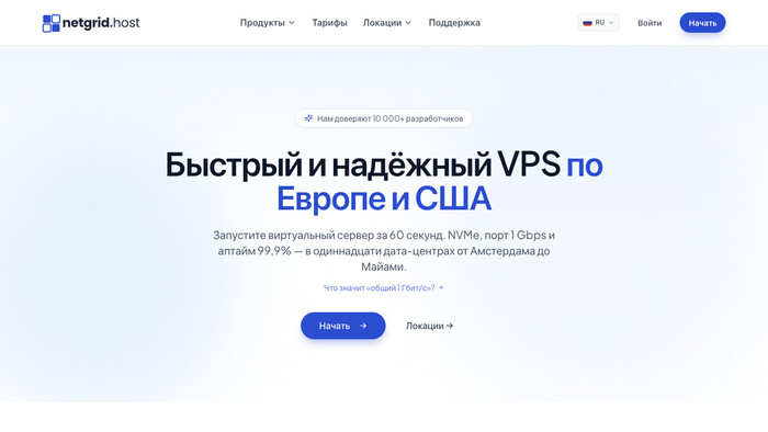 Скриншот хостера NetGrid Host